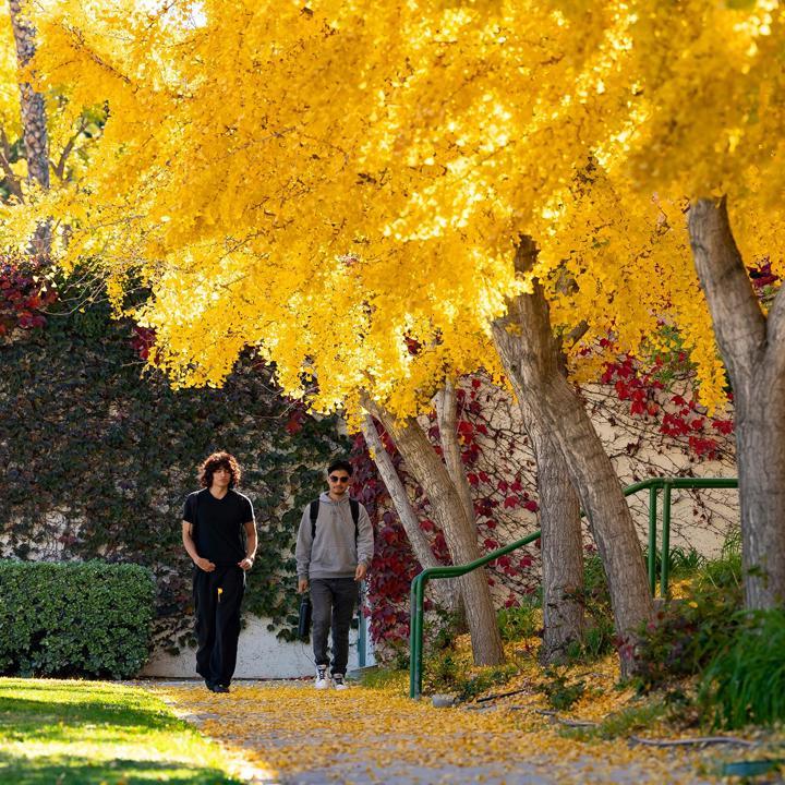 Media card - students walking on campus